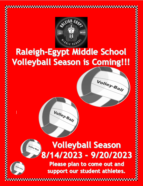 Volleyball 2
